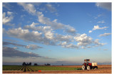 Salton Sea Agriculture