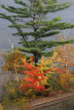 Fall 08 VT