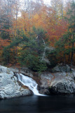 Fall 08 VT