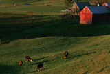 Fall 08 VT