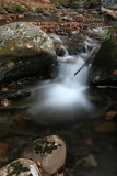 Fall 08 VT