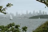 Sydney Harbour from Green Point