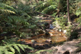Tunnel Creek