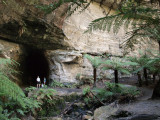 Glow Worm Tunnel 2008