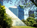 Macquarie Street Buildings  1