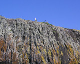 Black Rocks