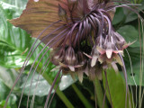 PICT0162.jpg