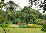Fountain and garden
