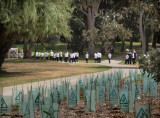 Children and plants being trained