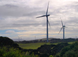 Windfarm Landscape