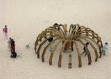 #97: Sea urchin