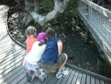 Three small observers of crabs