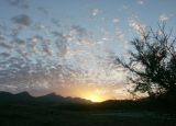 Sunset over Wilpena Pound