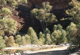 Brachina Gorge - 2