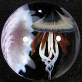 Jellyfish by John; ratty and finishing by Josh