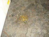 DSC02775.jpg