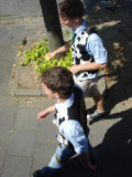 DSC03426.jpg