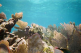 Key Largo