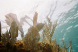 Key Largo