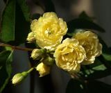 PICT6363.jpg