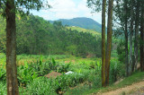 Rwanda the land of thousand hills