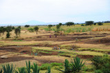 Landscape near  road to Monduli