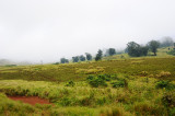 scenery of Ngorongoro NP