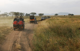 Safari in Serengeti.NP