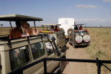 traffic ramps at  the lion family