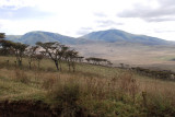 Scenery of highland of Ngorongoro