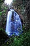 Horseshoe falls