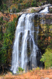 Lisbon falls
