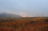 Blesbok loop
