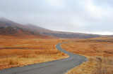 Oribi loop of Golden gate NP