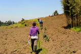 On the way back.Kinigi