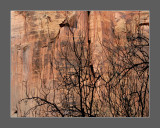 Weeping Rock