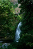 Multnomah Falls (5).jpg