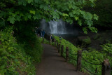 Multnomah Falls (6).jpg