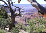 Grand Canyon North Rim108.jpg