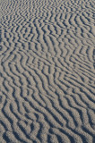 Death Valley II_02182009-055.jpg