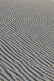 Death Valley II_02182009-064.jpg