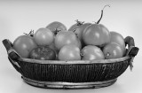 tomato basket.jpg