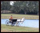 Sunday buggy ride