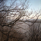 07.JPG