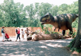 stlzoo18.JPG