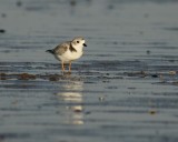 IMG_0304_2.jpg