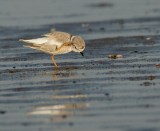 IMG_0308_2.jpg