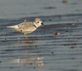 IMG_0310_2.jpg