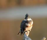 IMG_1494_2.jpg