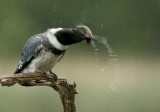 IMG_6187_2.jpg